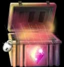 Case